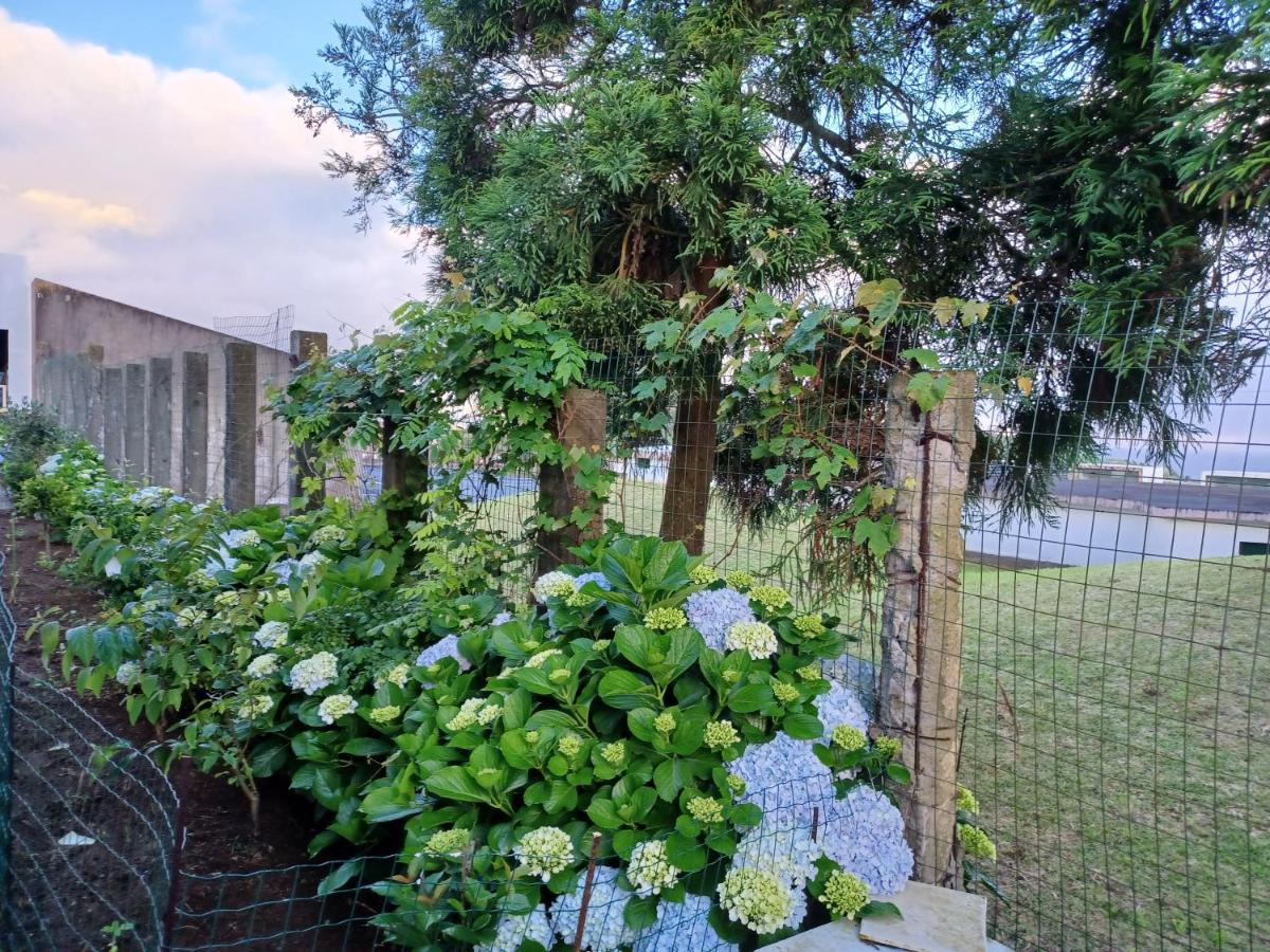 Casa Da Linda Villa Ponta Delgada Dış mekan fotoğraf